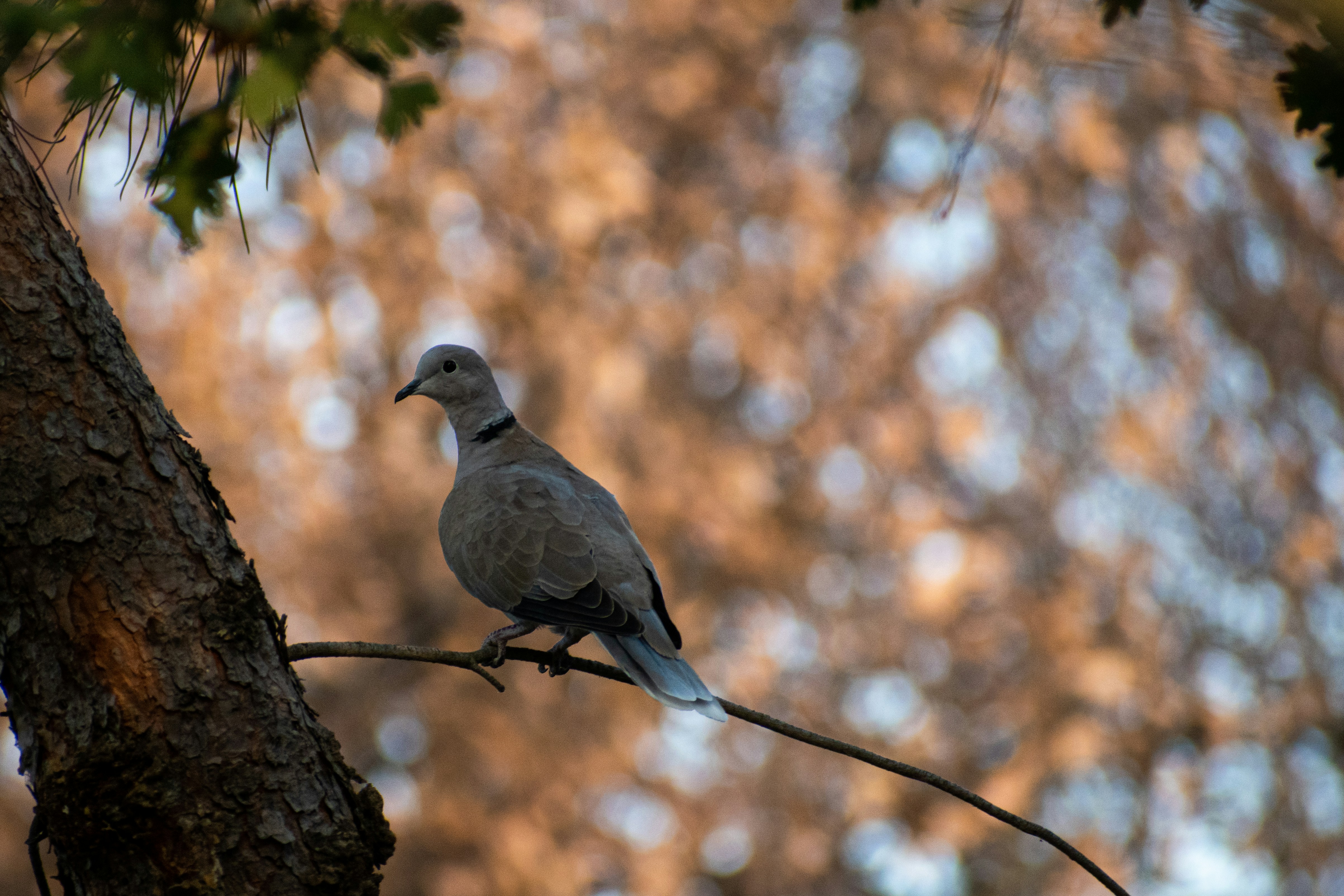 Photo by elisastonephotography