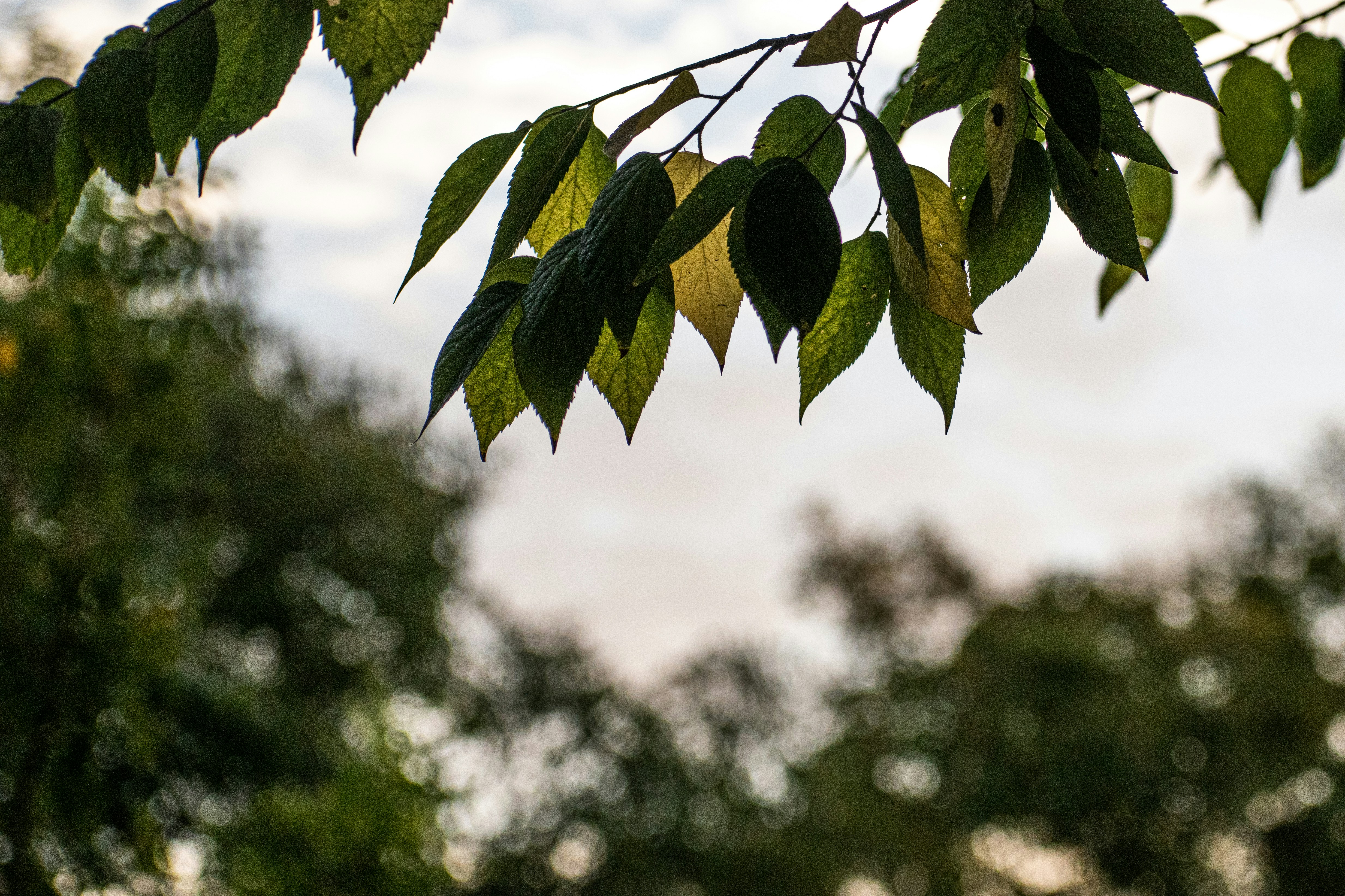 Photo by elisastonephotography