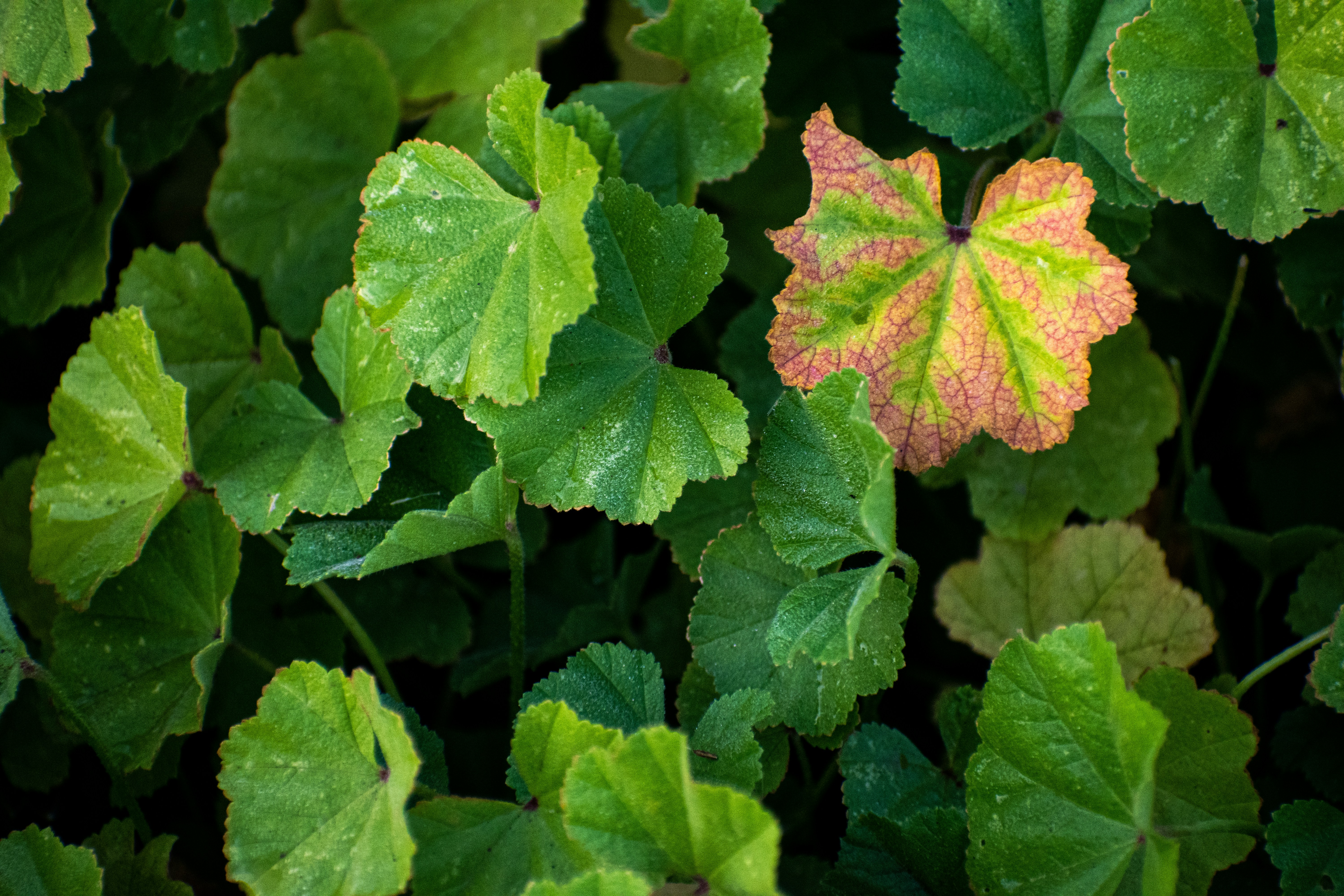 Photo by elisastonephotography