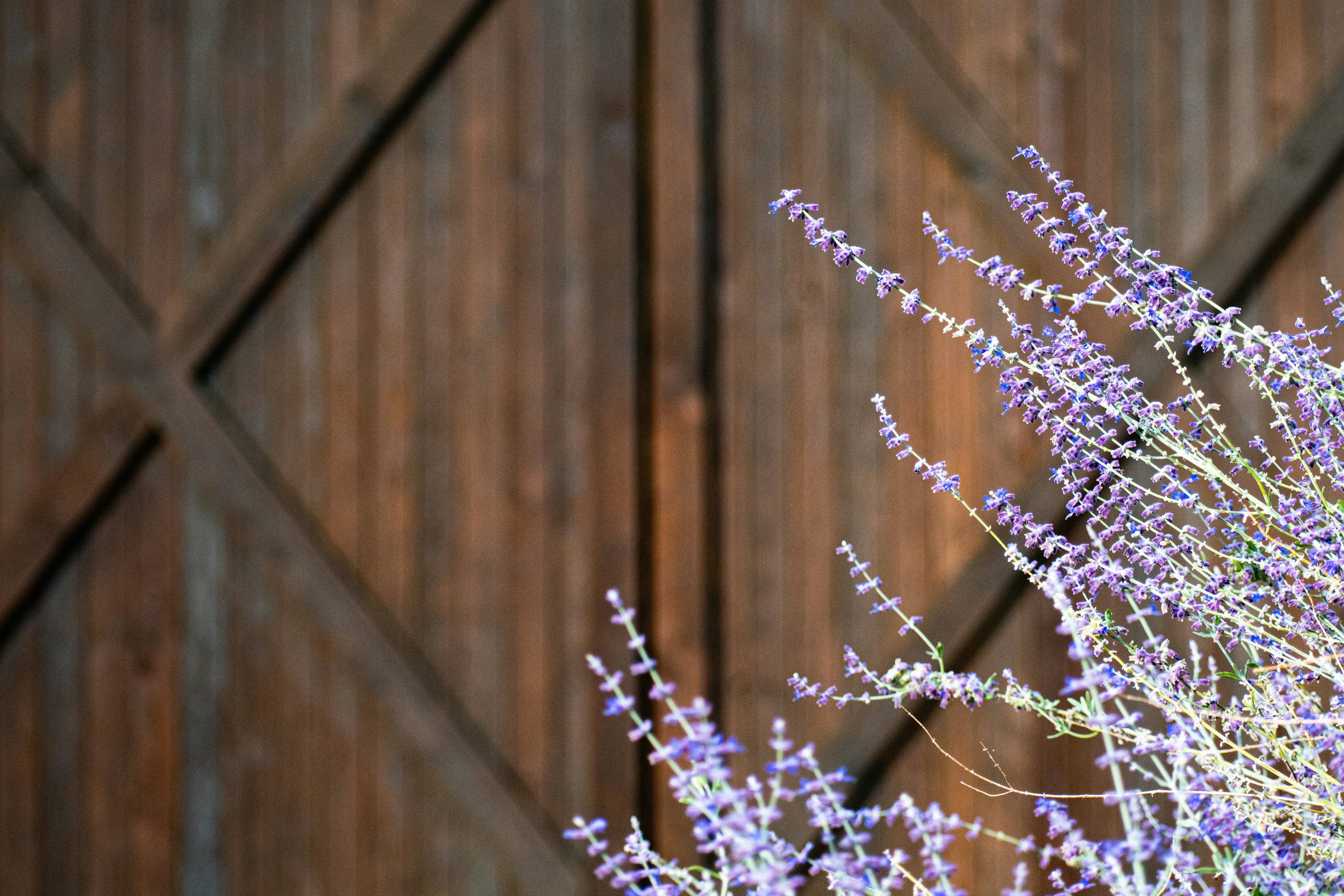 Photo by elisastonephotography