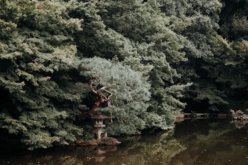 Ambience