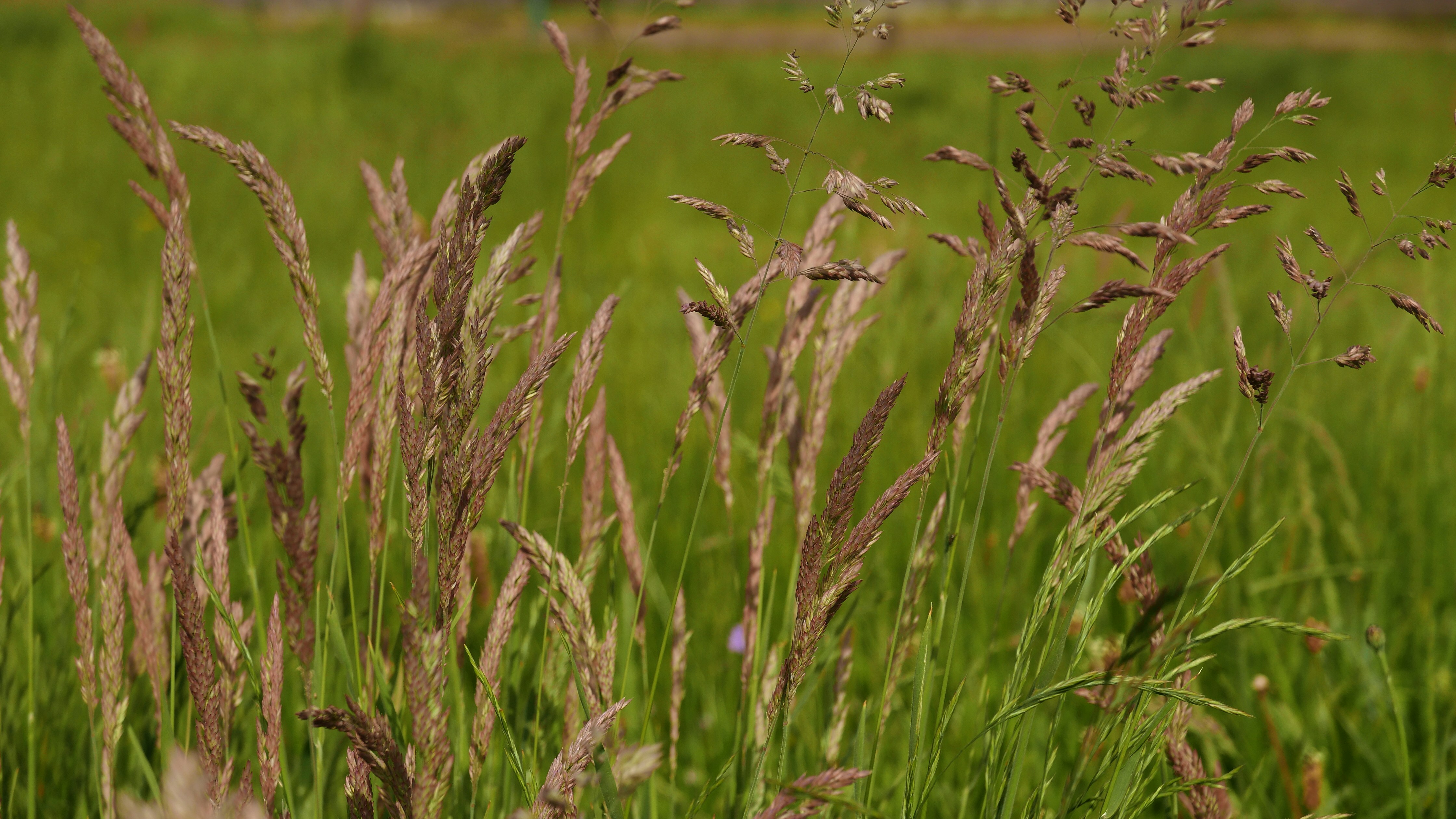 Photo by hooverpaul55