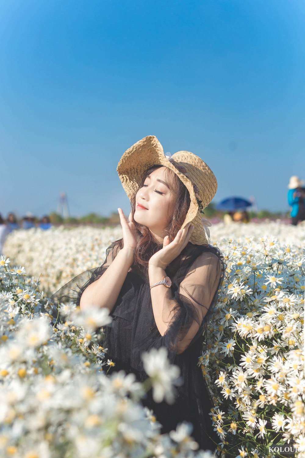 woman in brown sun hat sitting on white flower field during daytime