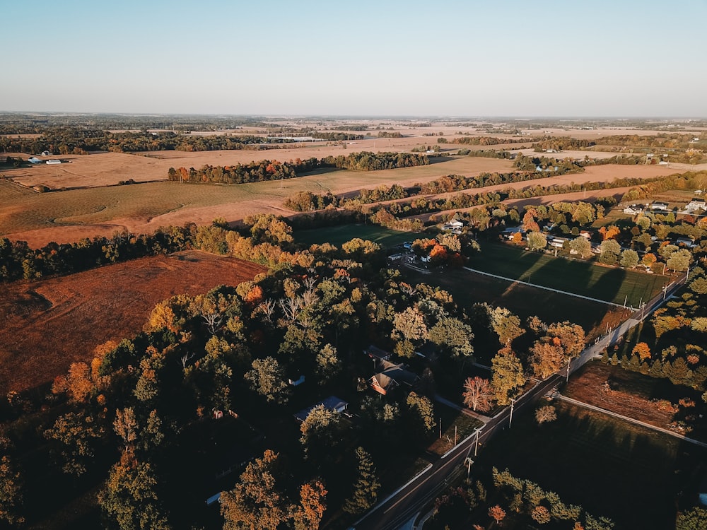 vista aérea de árvores verdes e campo marrom durante o dia