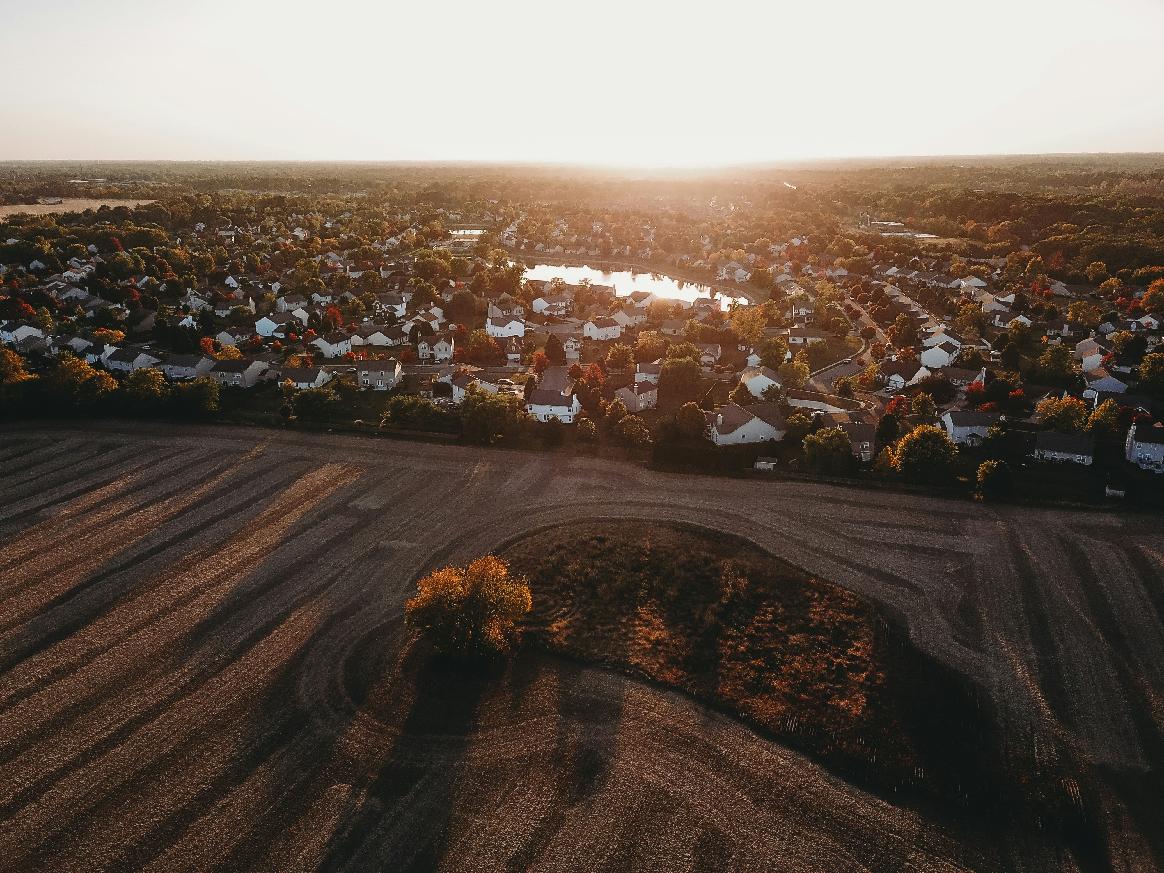 Photo by stevenvanelk