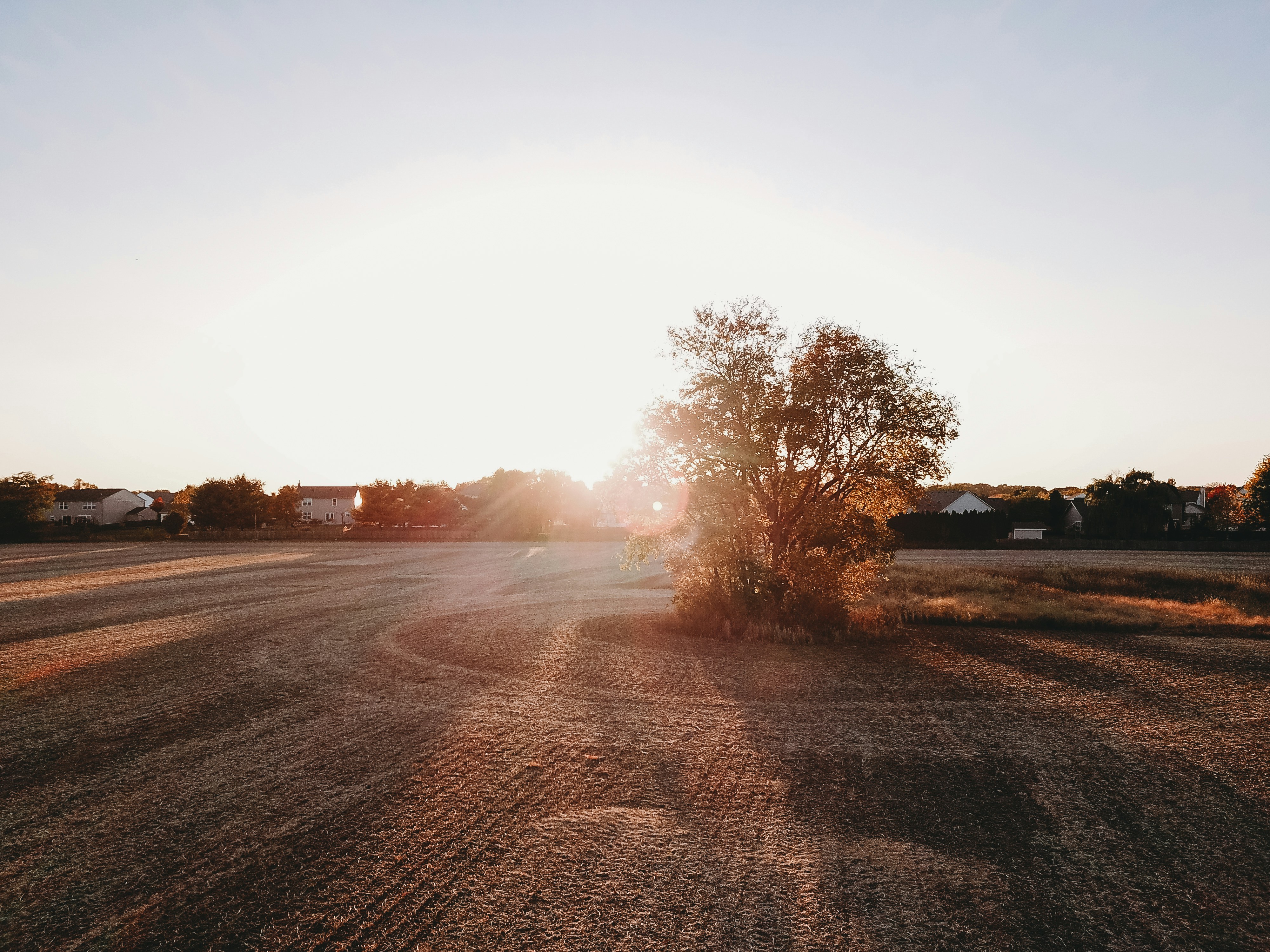 Photo by stevenvanelk