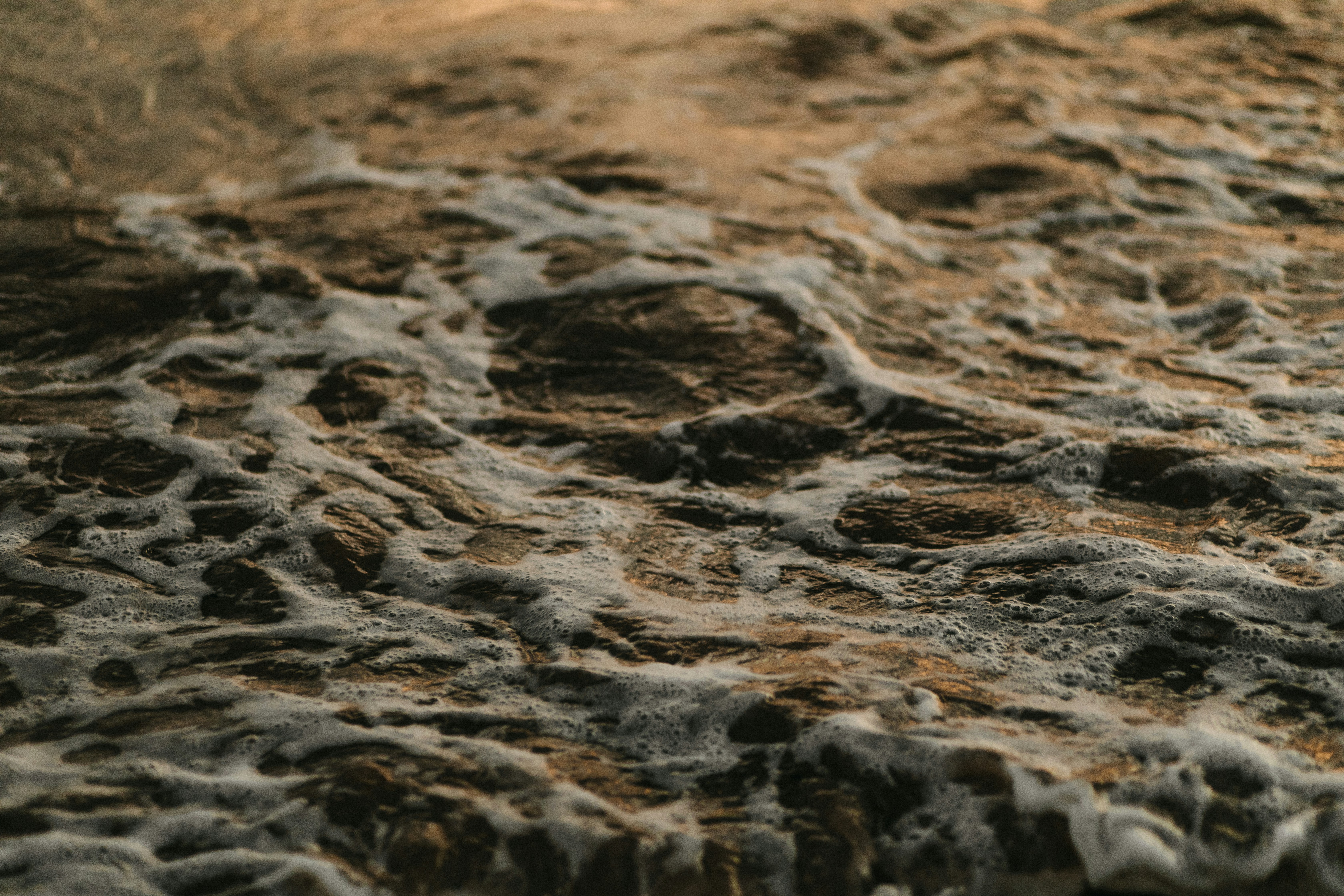 Photo by miguelheezg