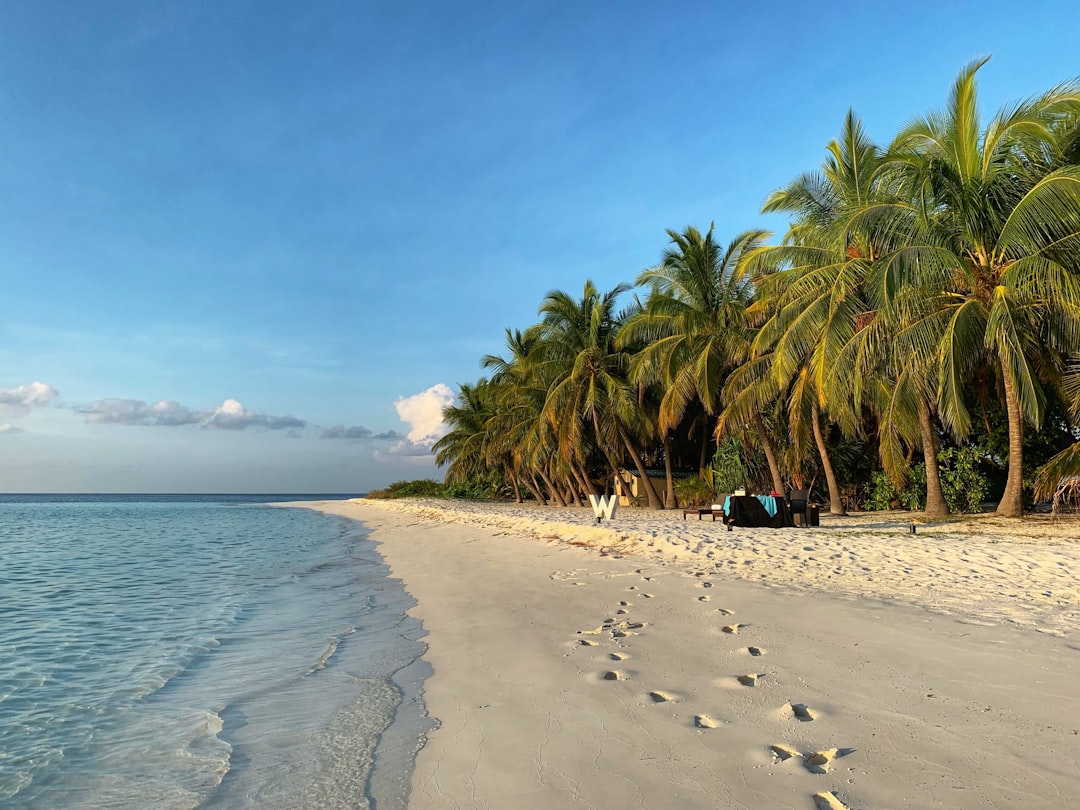 people on beach during daytime, Overwater Villa at the W Hotel luxury resort in the Maldives</p></figure><p>