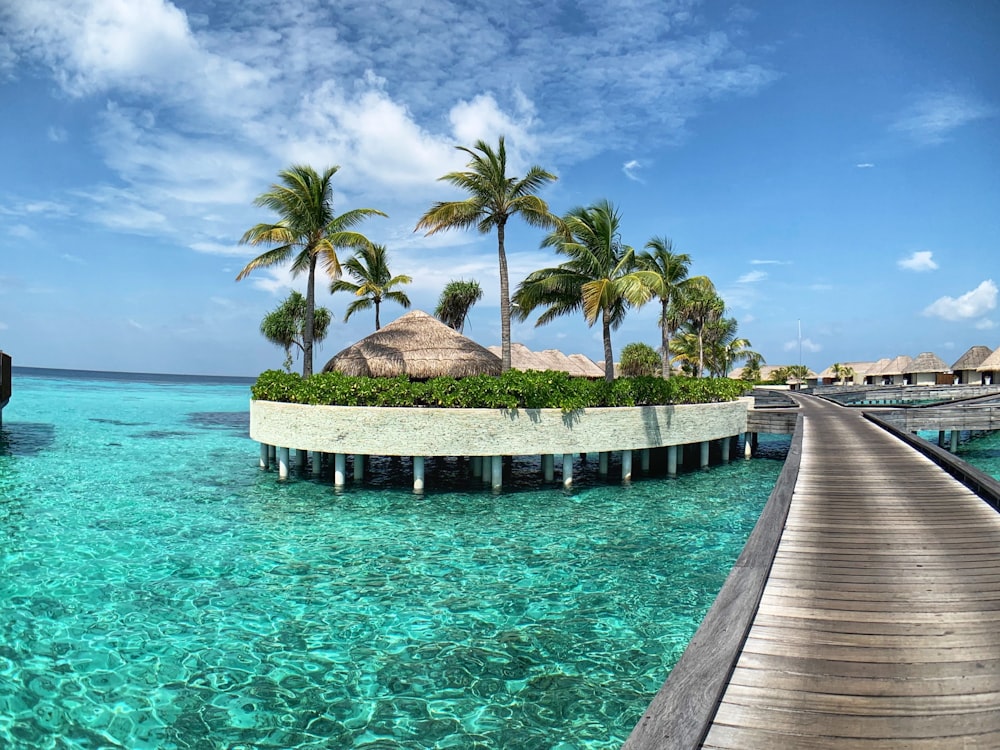 brown wooden dock on body of water during daytime