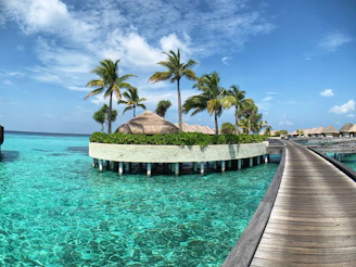 brown wooden dock on body of water during daytime