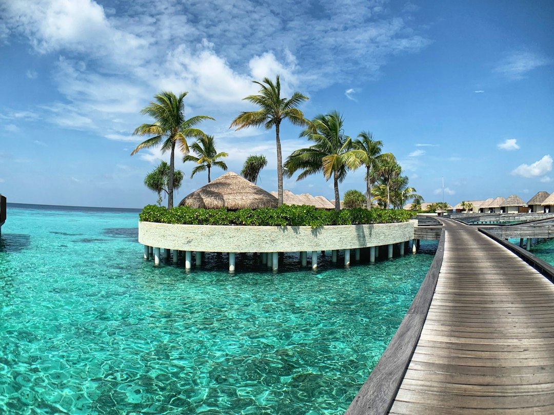 beach resort pool