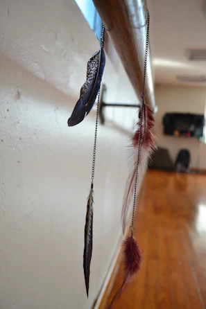 Decorative feathers arranged artistically on a rustic wooden table.