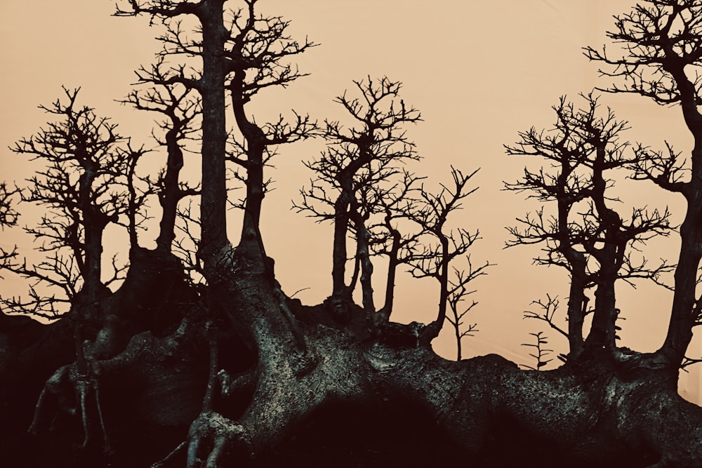 bare trees on rocky mountain during daytime