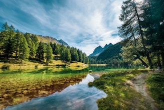 A large peaceful lake surrounded by walking paths and bike tracks, framed by lush trees under a clear sky.