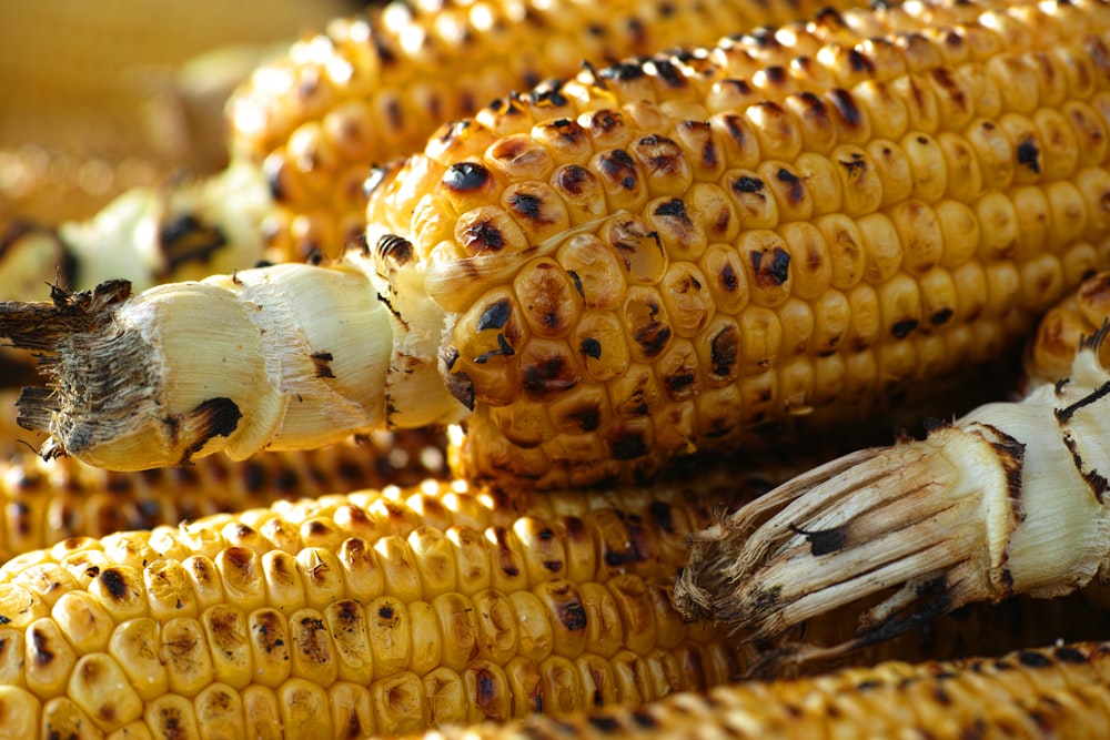 yellow corn on brown wooden table