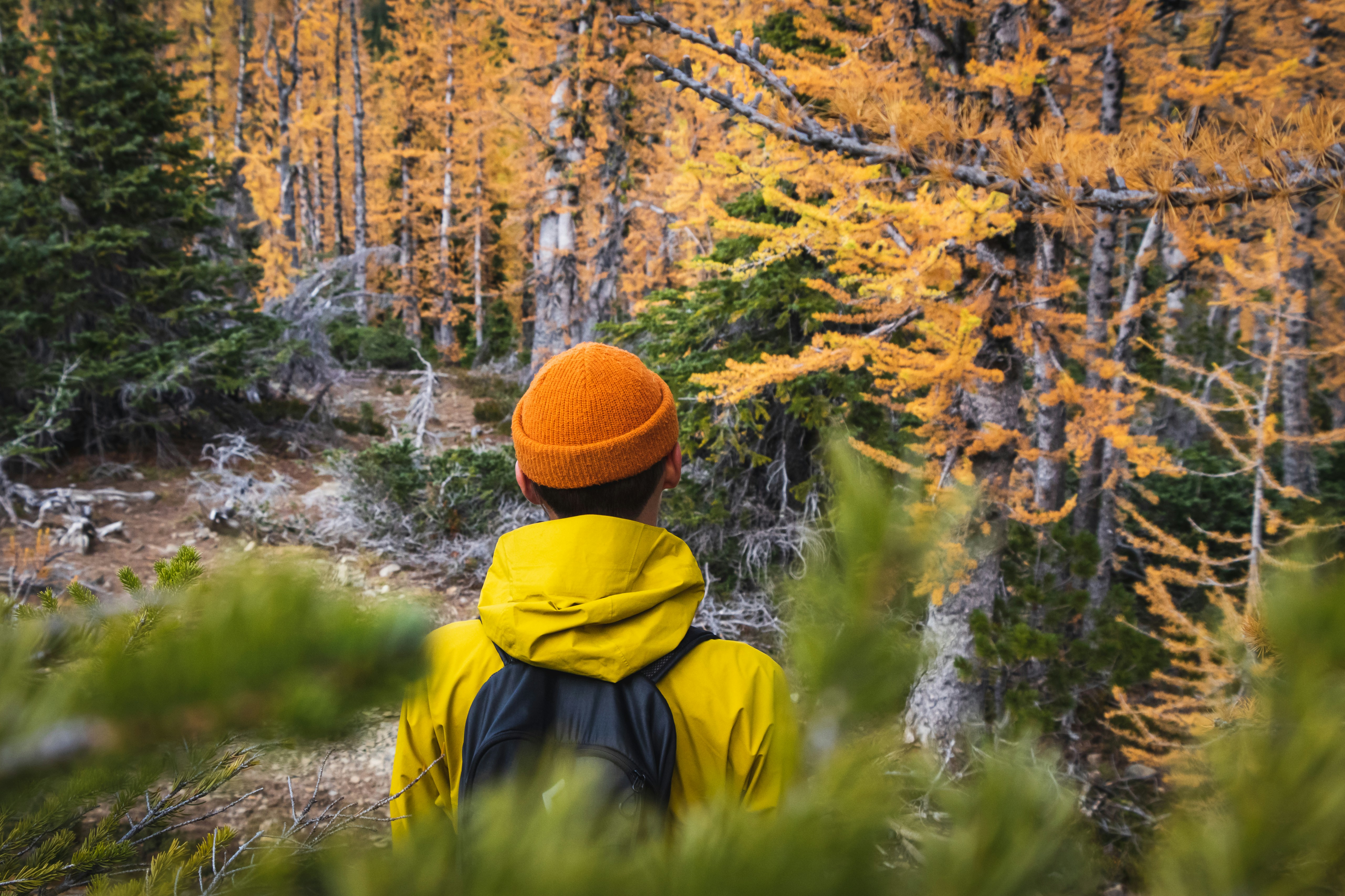 Photo by greg_rosenke