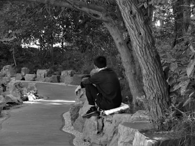 A person sits alone on a rocky ledge beside a curved path surrounded by trees and foliage. The setting appears serene and secluded, with the path meandering away into the background.