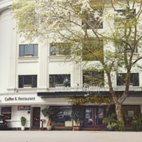 A classic hotel building with ornate architectural details, large windows, and a sign reading MONREGENCY HOTEL. The ground level features a coffee and restaurant area with a visible sign. A large tree with lush foliage partially obscures the facade, adding a natural element to the urban setting.