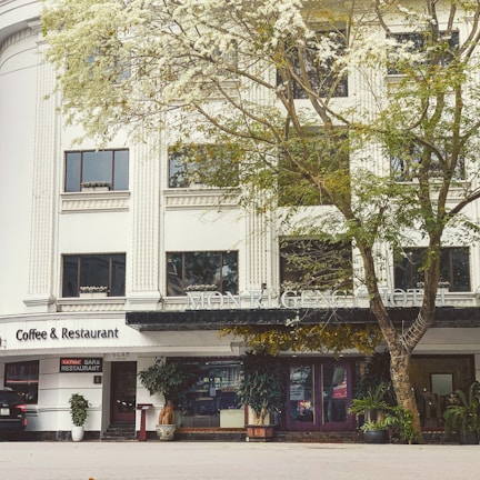 A classic hotel building with ornate architectural details, large windows, and a sign reading MONREGENCY HOTEL. The ground level features a coffee and restaurant area with a visible sign. A large tree with lush foliage partially obscures the facade, adding a natural element to the urban setting.