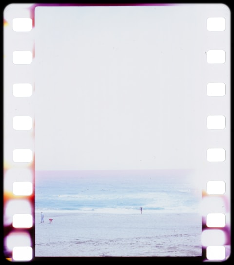 numérisation pellicule argentique