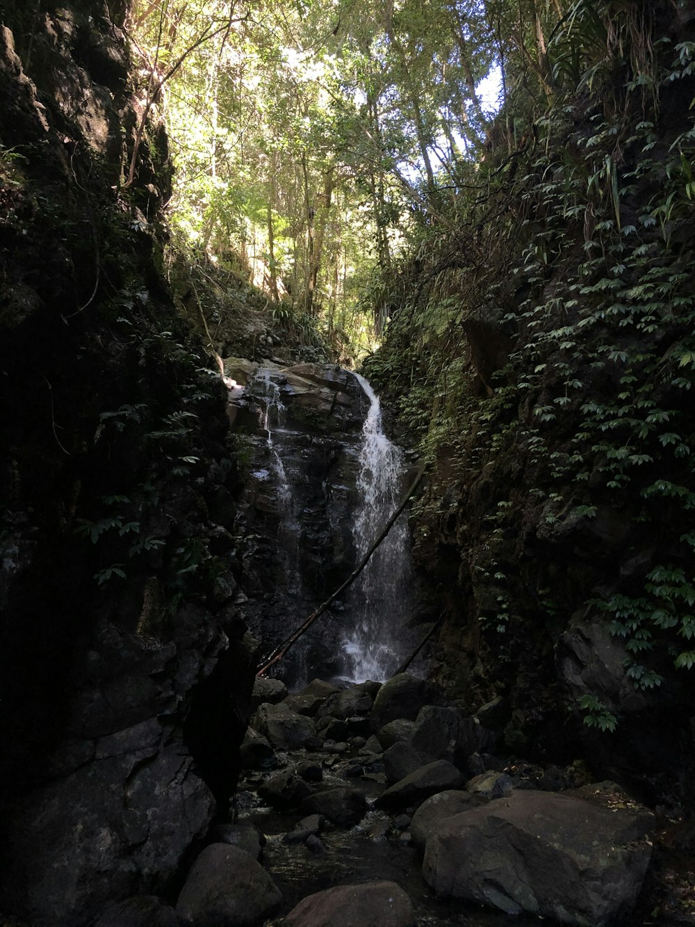 waterfalls in the middle of the forest