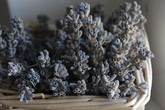Close-up of dried lavender and rosemary bundles on rustic fabric