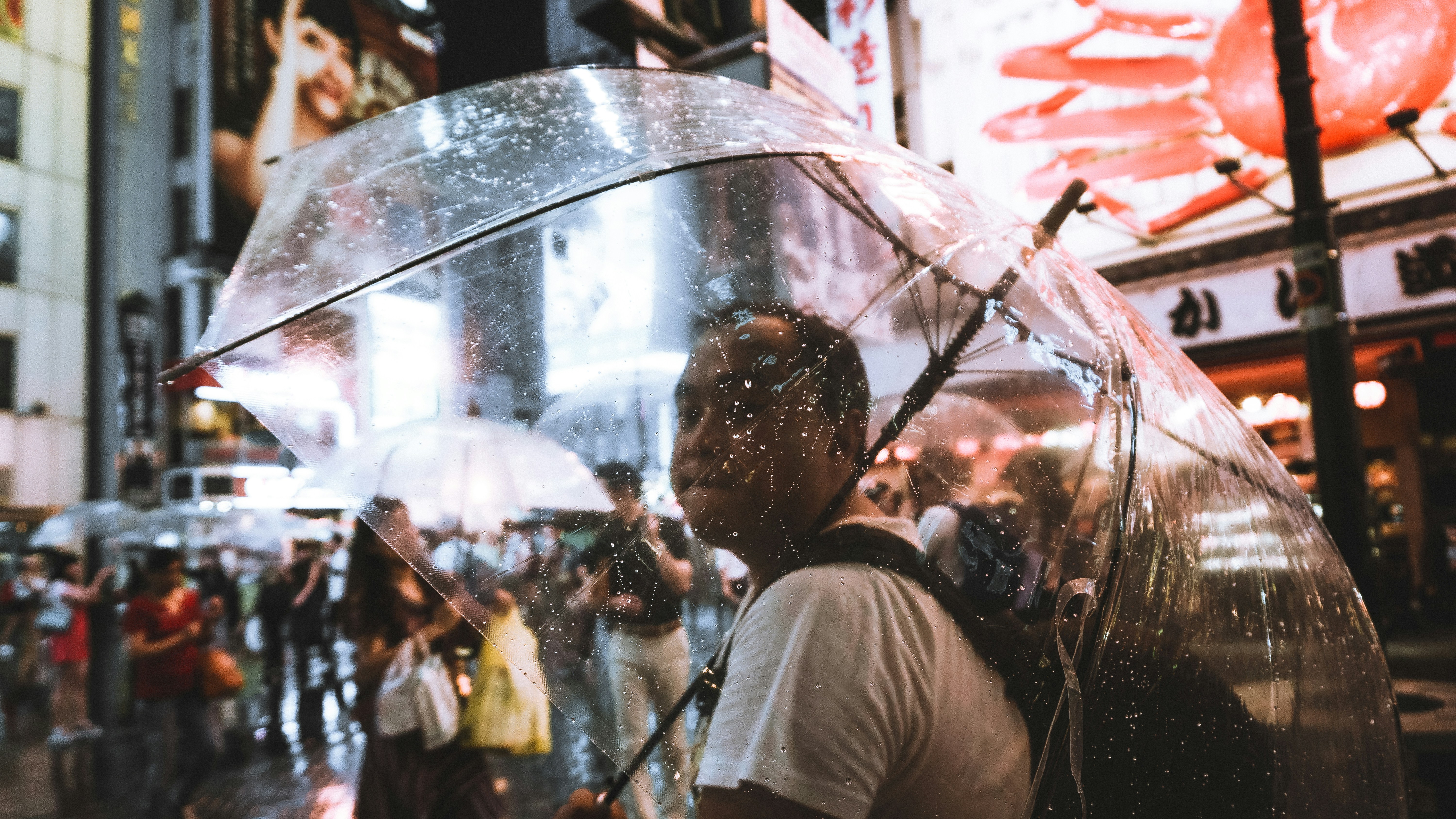 Photo by thinhngtrung