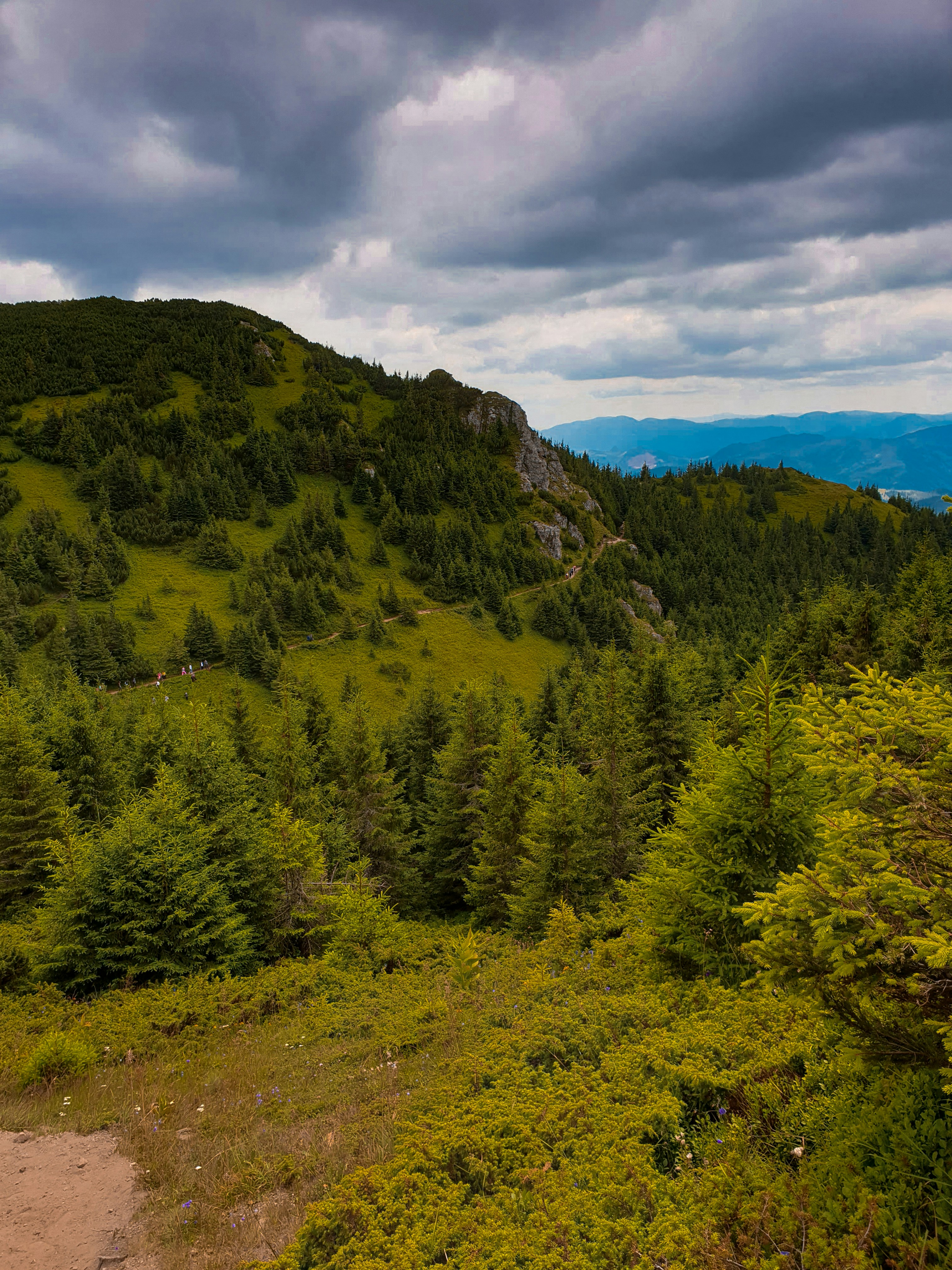 Photo by nasteagangal