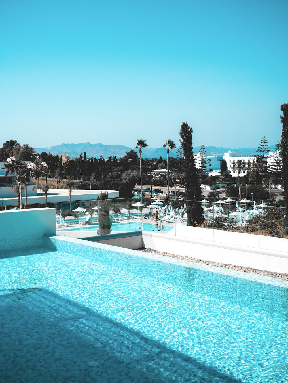 blue swimming pool near green trees during daytime