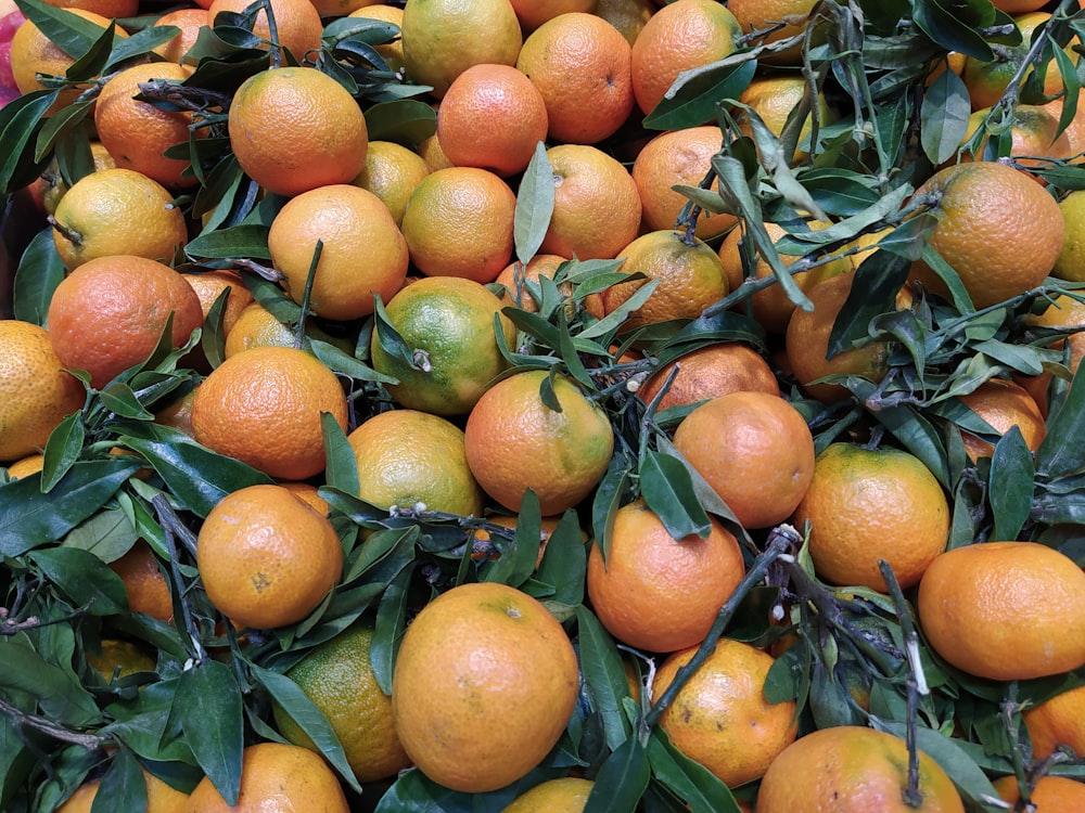 orange fruits on black metal rack