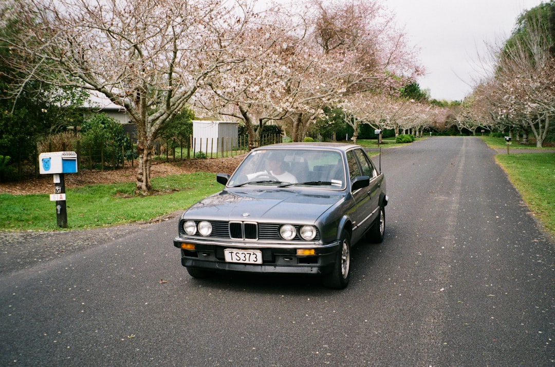 black mercedes benz car on road near bare trees during daytime