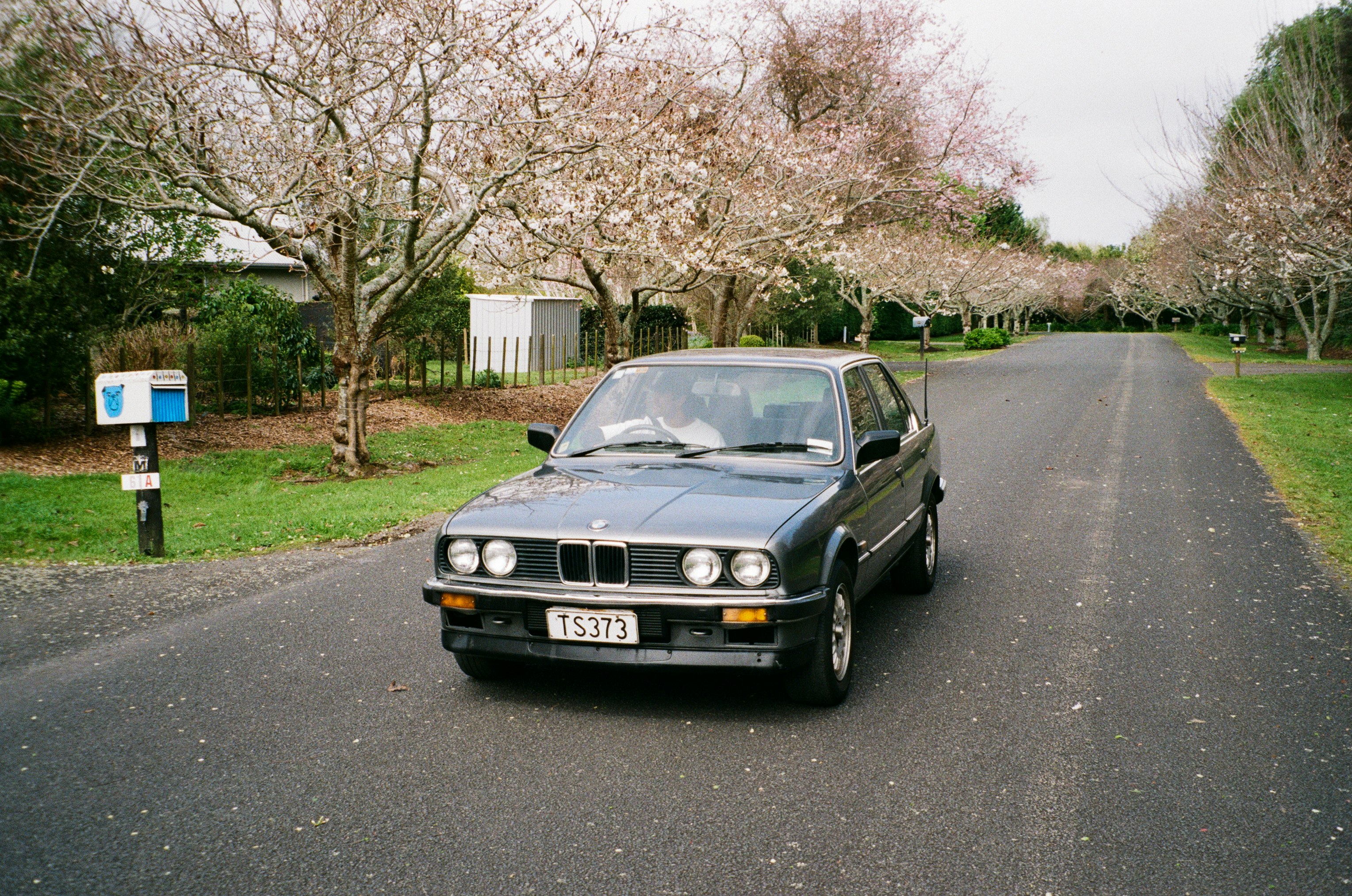 black mercedes benz car on road near bare trees during daytime