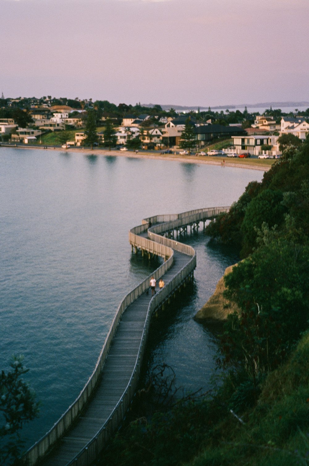 body of water near green trees during daytime