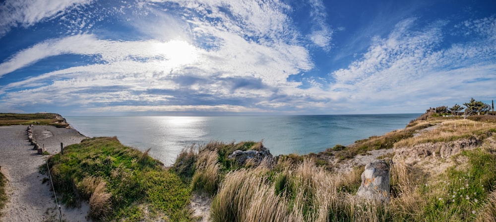 hierba verde cerca del cuerpo de agua bajo el cielo azul y las nubes blancas durante el día