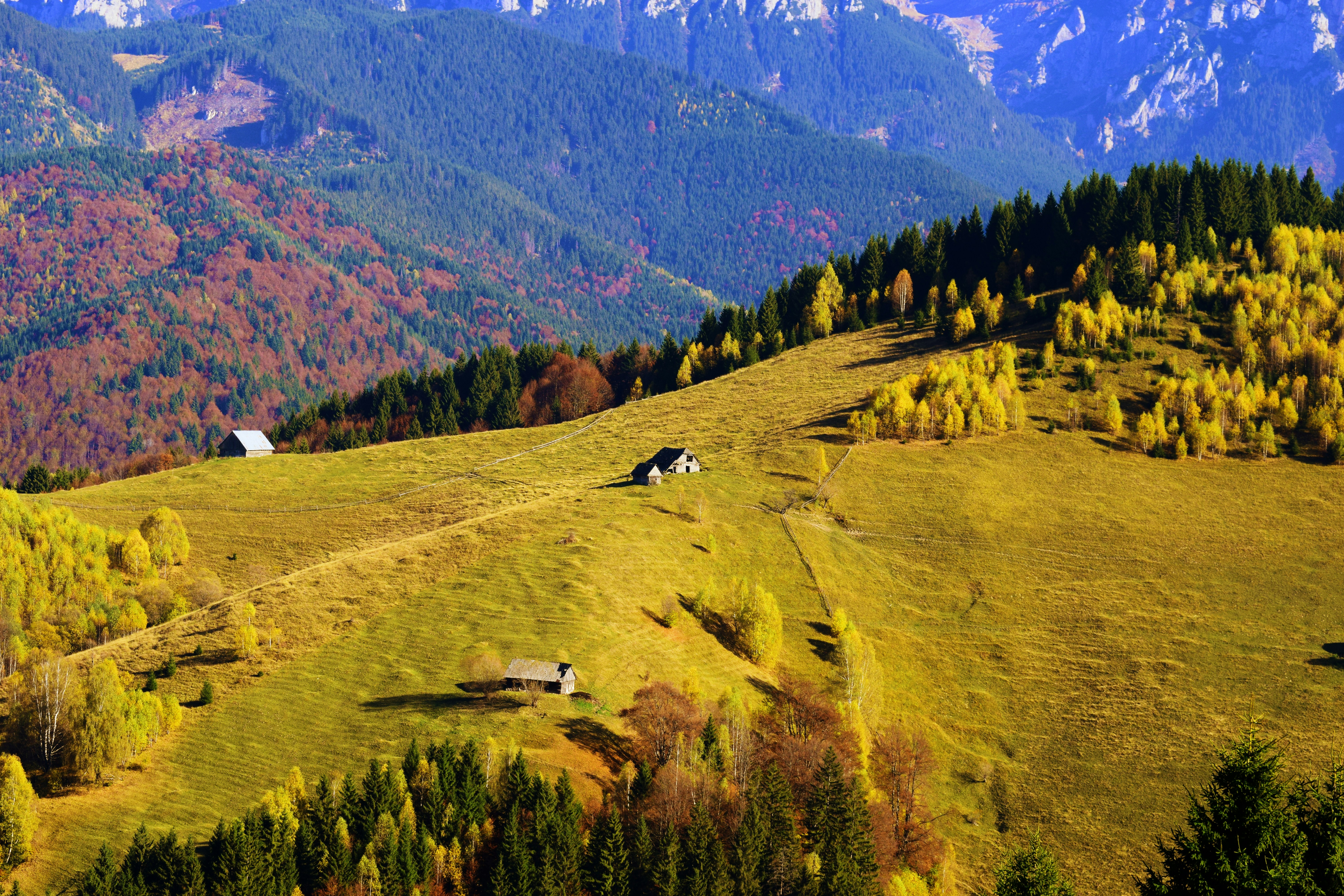 Photo by elliellena26