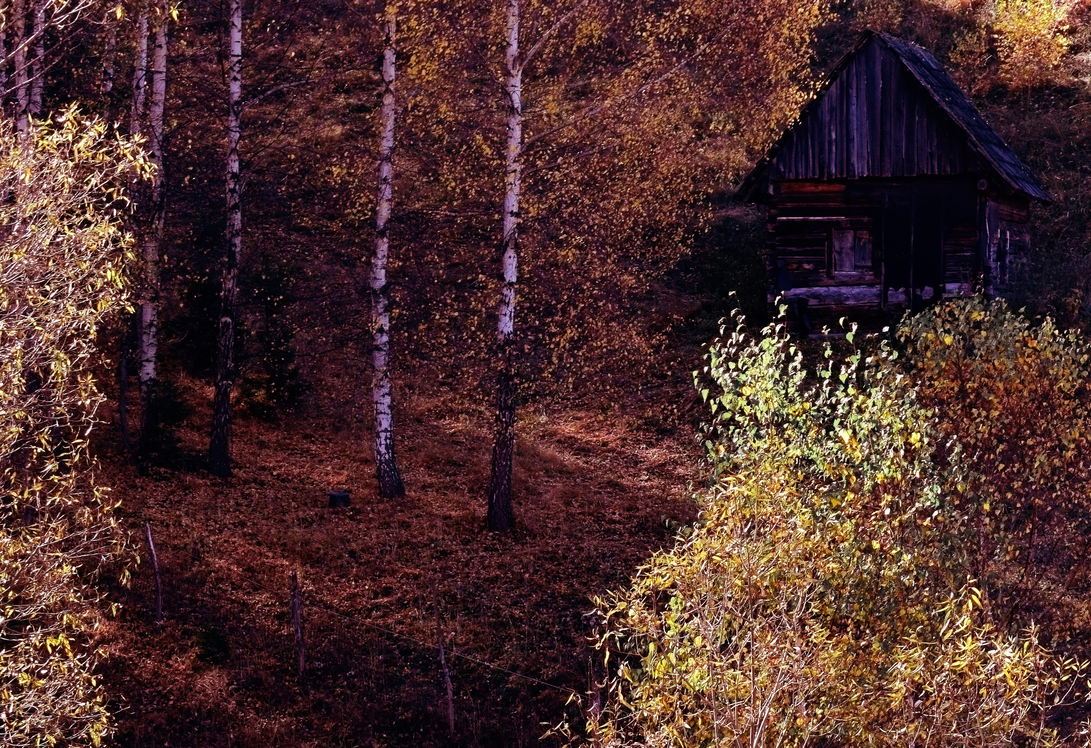 Photo by elliellena26