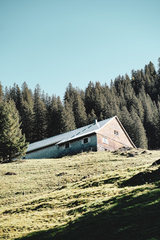 brown wooden house near green trees under blue sky during daytime in Sonthofen Germany