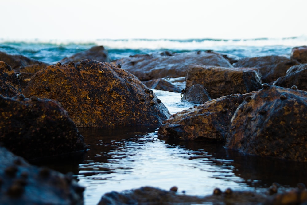 brown and gray rocks on water during daytime