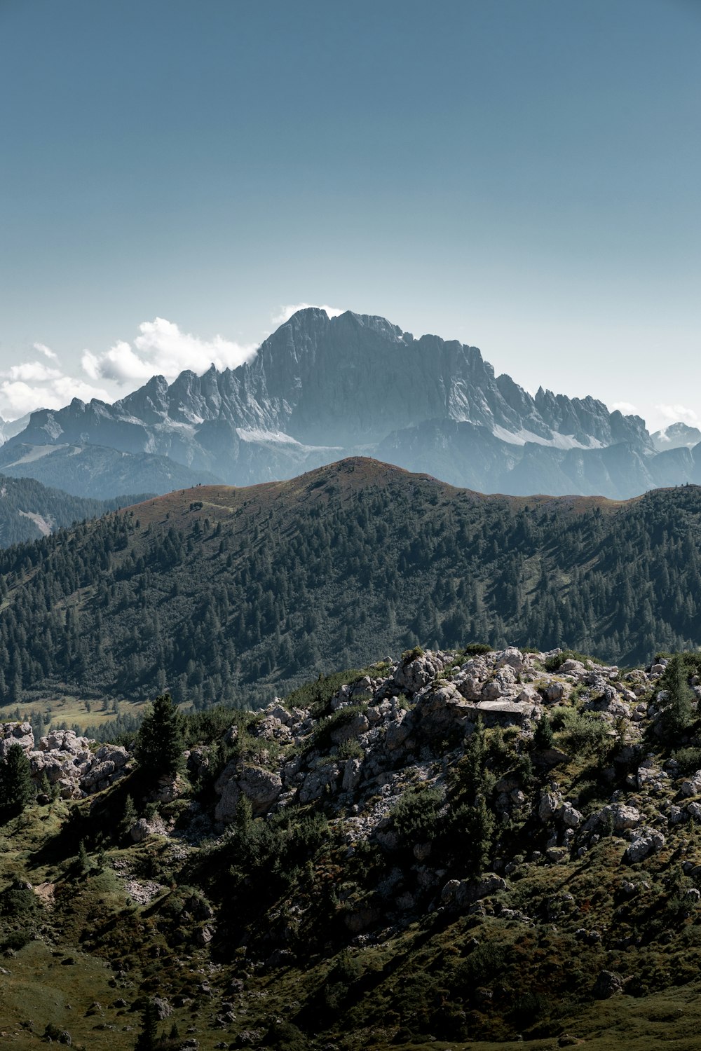 green trees on mountain under blue sky during daytime