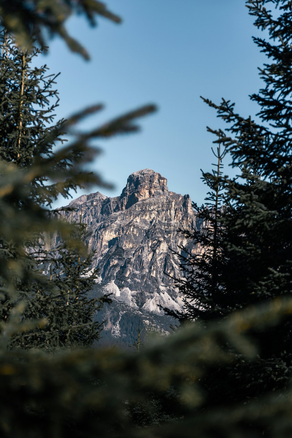 green trees near mountain during daytime