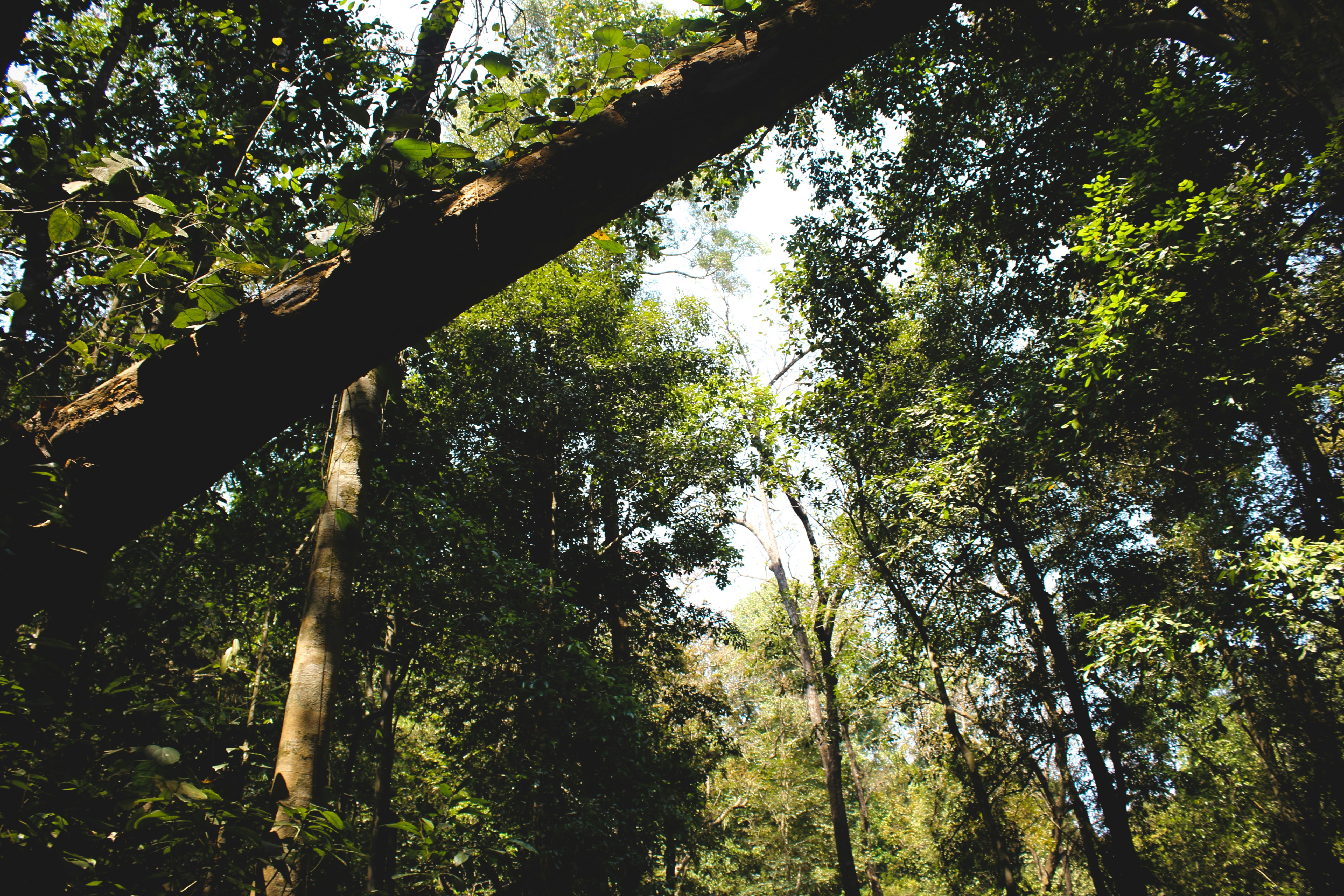 Photo by highwaypatrol_x