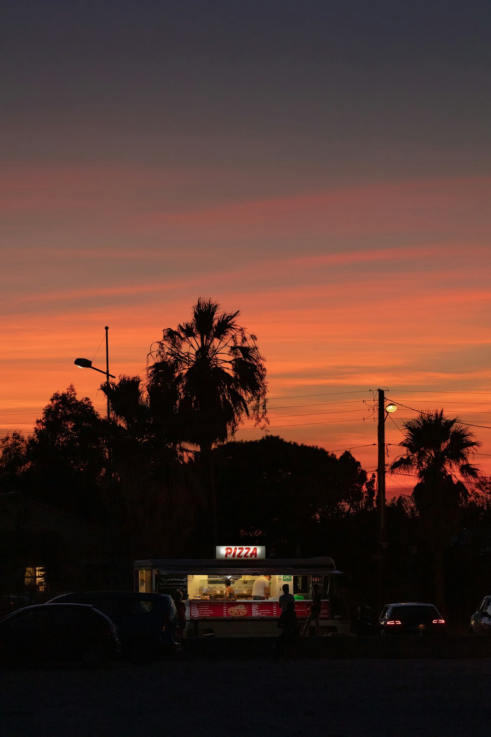 Palmera cerca del autobús blanco y negro durante la puesta del sol