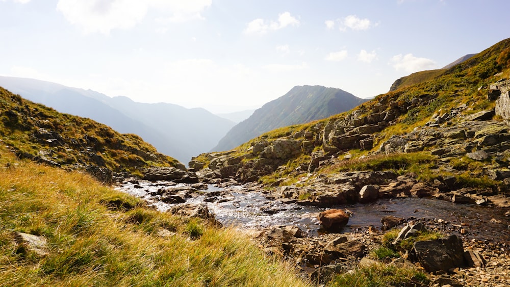 river between green grass field and mountains during daytime