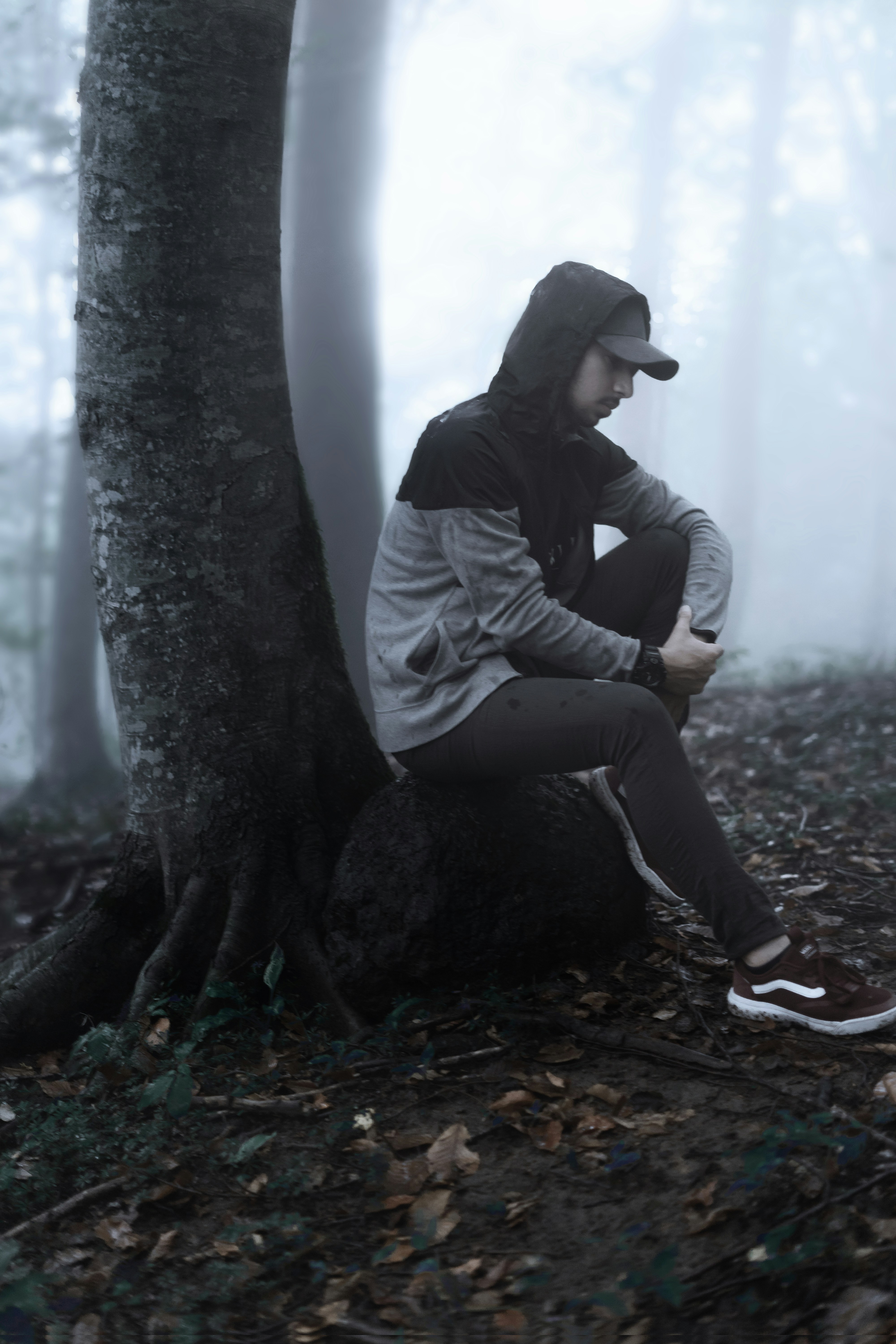 Photo by ali_barzegarahmadi