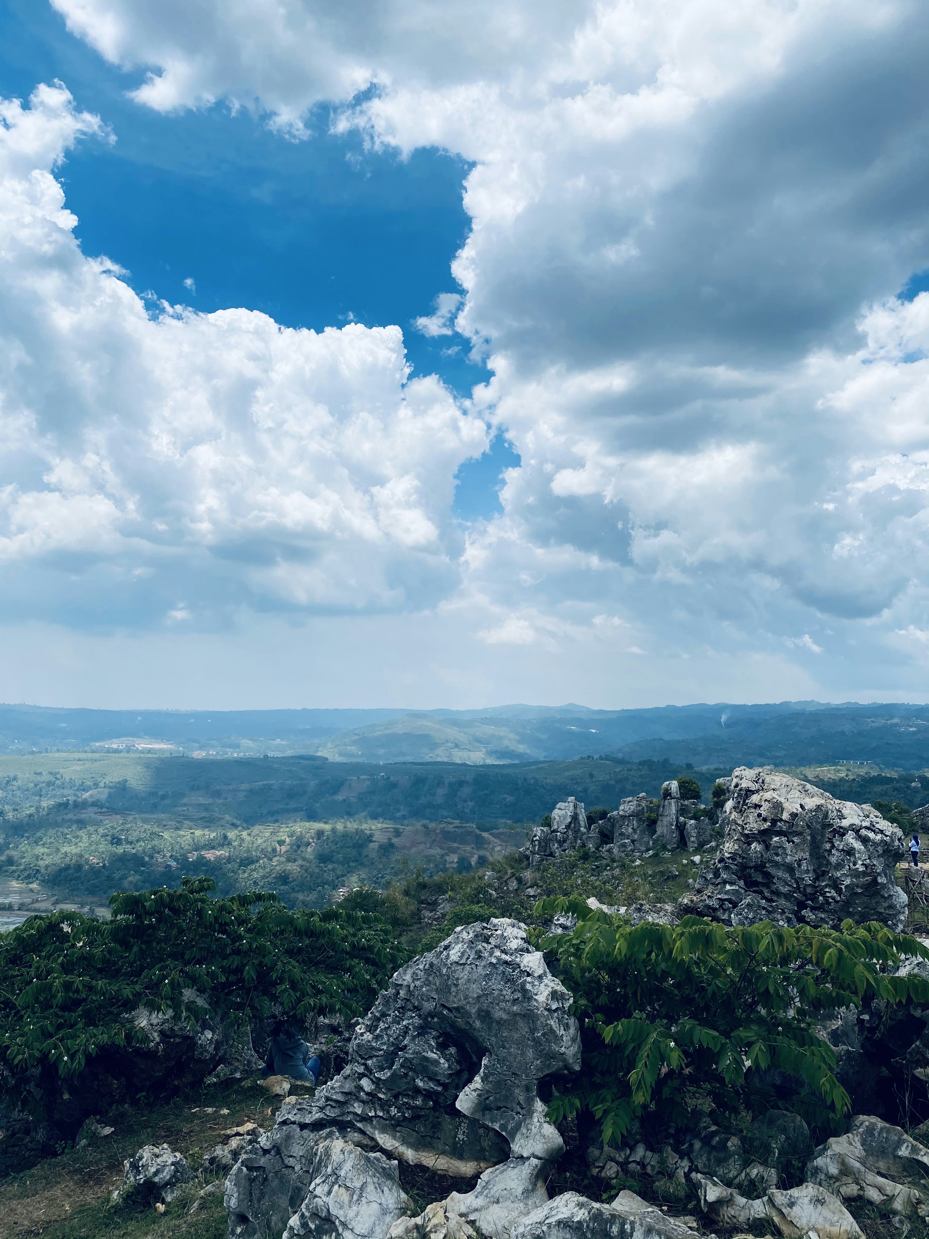 rumput hijau dan pepohonan menutupi gunung di bawah langit biru dan awan putih di siang hari