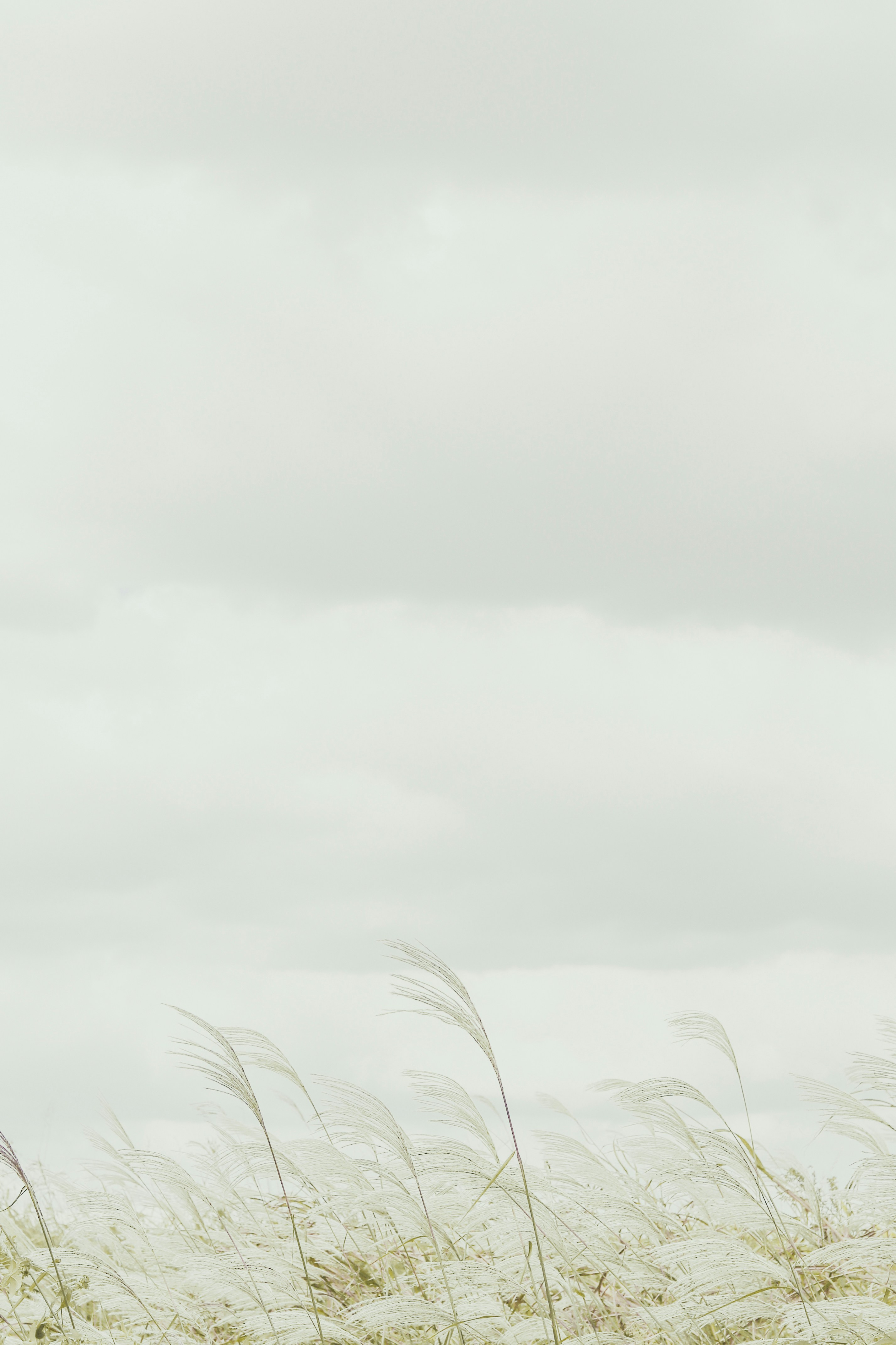 Photo by babybluecat