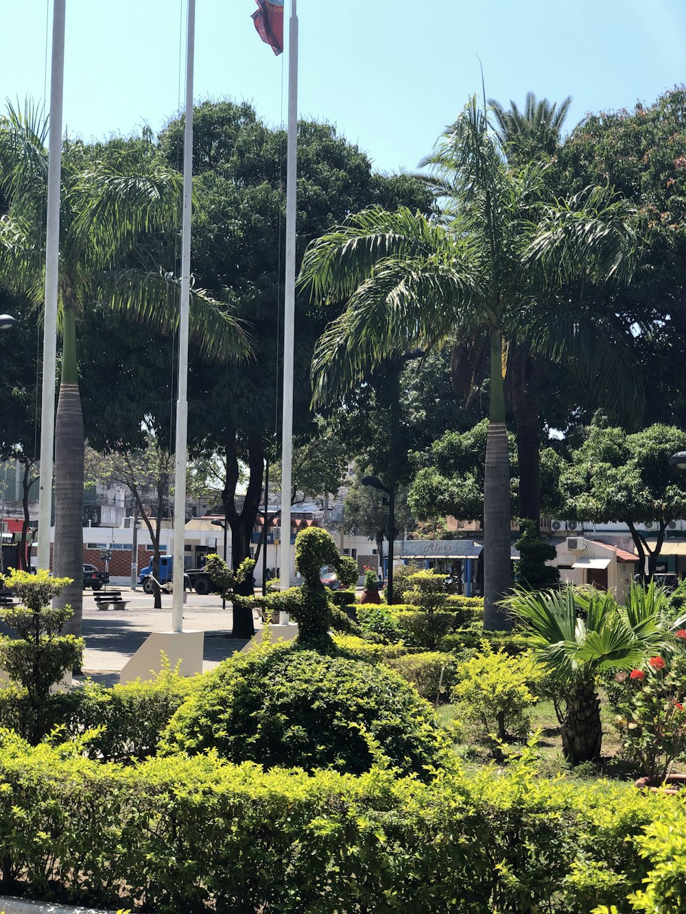 green trees and plants near white metal post during daytime