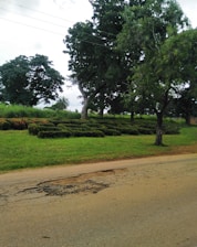 A landscape featuring a paved road with visible cracks in the foreground. On the left side of the road, there is a well-maintained green lawn with neatly trimmed bushes arranged in a decorative pattern. Tall trees with lush green foliage provide shade, and power lines run overhead. The sky is partially covered with clouds, creating a serene atmosphere.