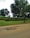 A landscape featuring a paved road with visible cracks in the foreground. On the left side of the road, there is a well-maintained green lawn with neatly trimmed bushes arranged in a decorative pattern. Tall trees with lush green foliage provide shade, and power lines run overhead. The sky is partially covered with clouds, creating a serene atmosphere.