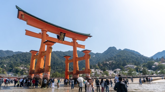 A large, iconic red torii gate stands majestically on a sandy shore, surrounded by a crowd of people. The background is filled with lush green mountains and a clear blue sky. Several cherry blossom trees are visible, adding a touch of white and pink to the verdant landscape.